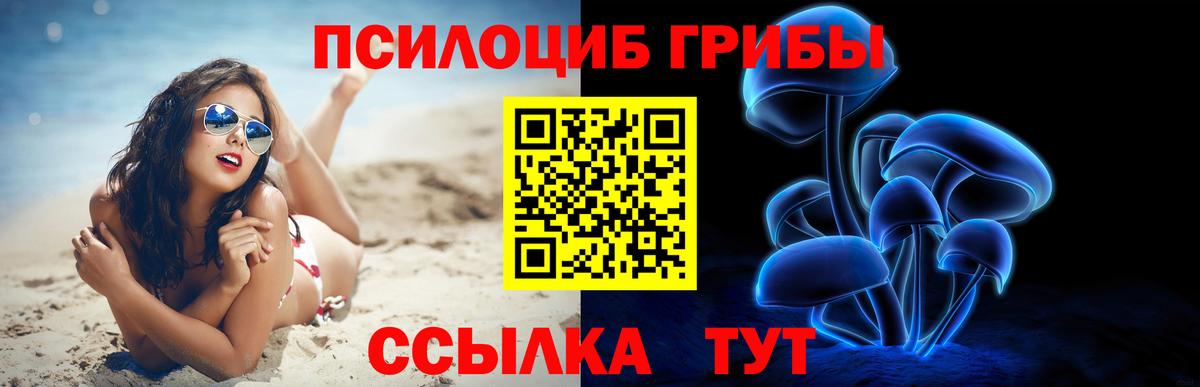 Галлюциногенные грибы ЛСД  Вход с VPN  Бийск 